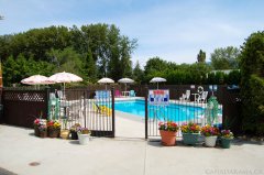 Rosedale Motel Pool